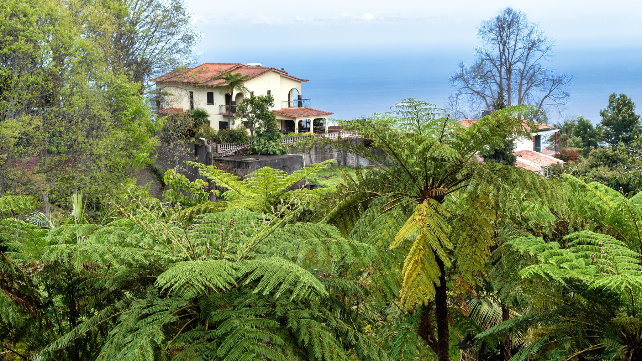20250511 161917 Funchal   Tropischer Garten Monte Palace
